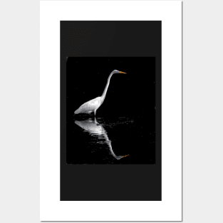 Great White Heron Posters and Art